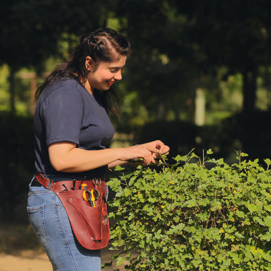 Garden Tool Belt